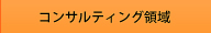 コンサルティング領域